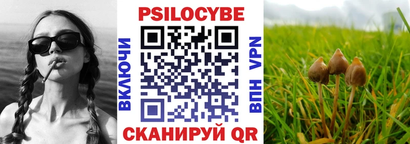 где можно купить наркотик Лесной Галлюциногенные грибы мухоморы