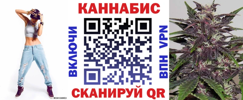 Конопля план  что такое   Лесной 